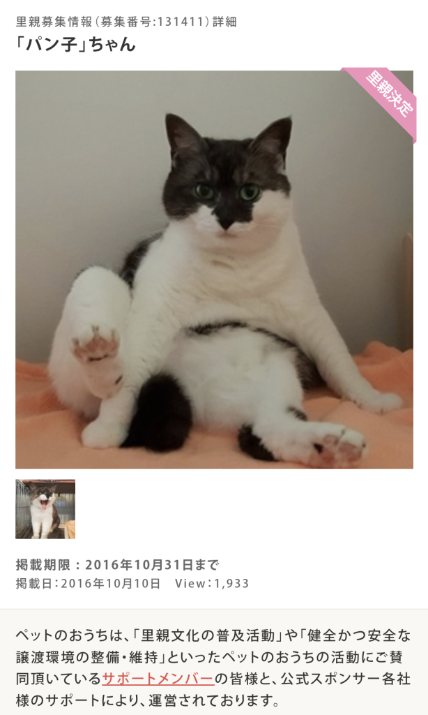 ペットのおうち、ぱんこのページ